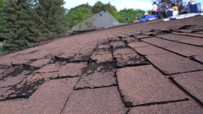 Roof Insulation in Benton, LA